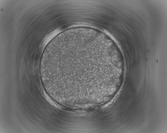 X0000085041137200704021247
