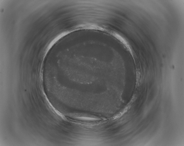 X0000085041141200704021247