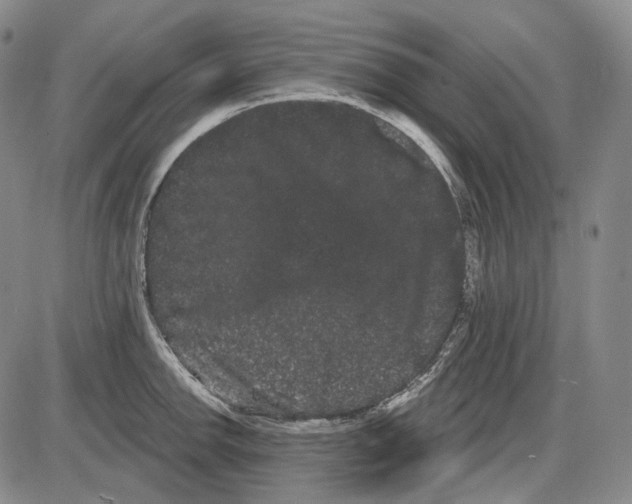 X0000085041142200704021247