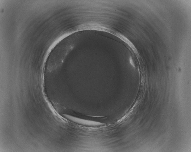 X0000085041144200704021247