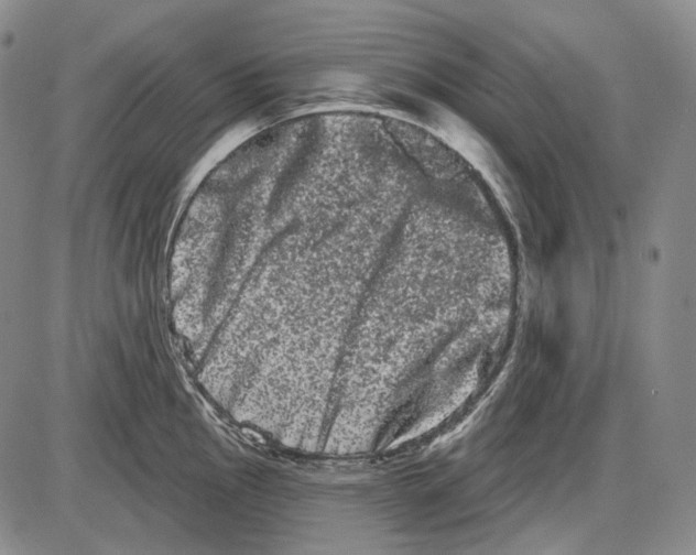 X0000085041145200704021247