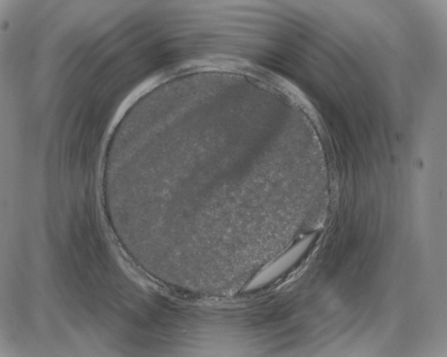 X0000085041146200704021247