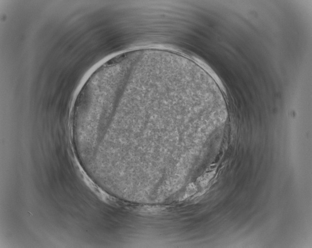 X0000085041148200704021247