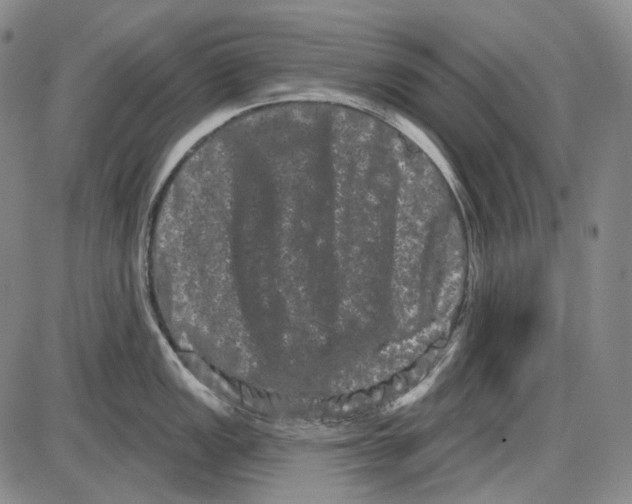 X0000085041149200704021247