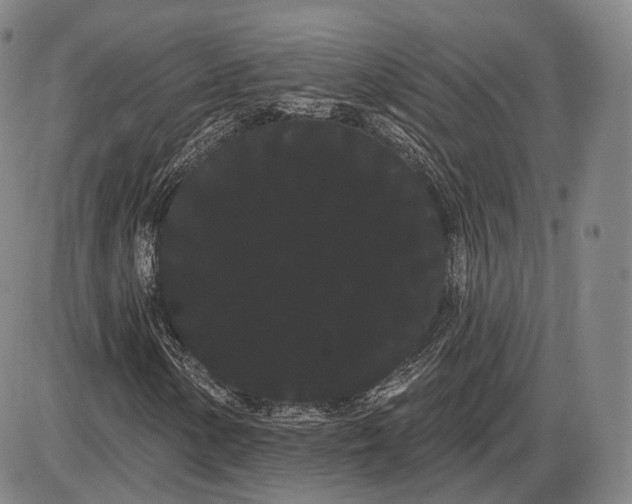 X0000085041154200704021246