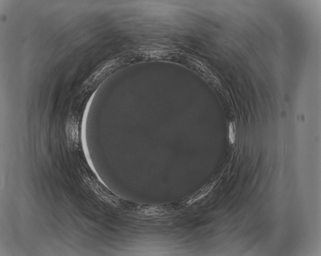 X0000085041155200704021246