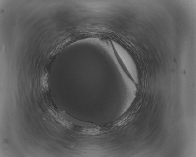 X0000085041156200704021246