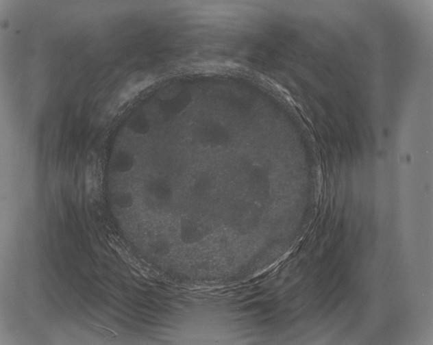 X0000085041158200704021246
