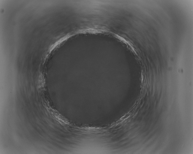 X0000085041160200704021246