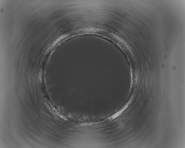 X0000085041161200704021246