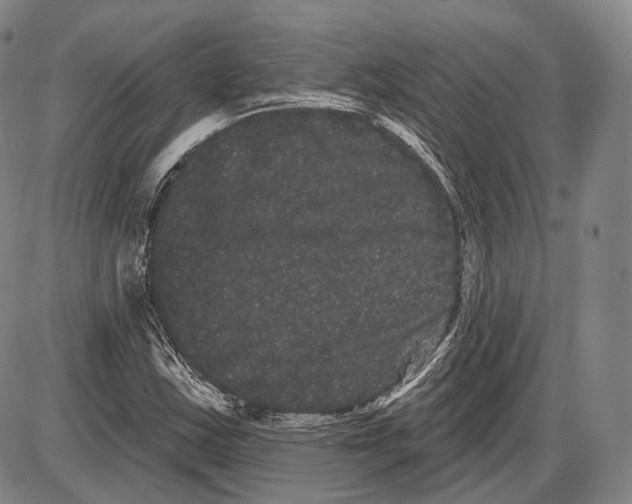 X0000085041163200704021246