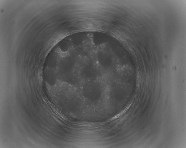 X0000085041170200704021246