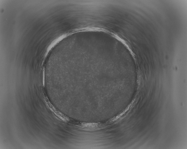 X0000085041171200704021246