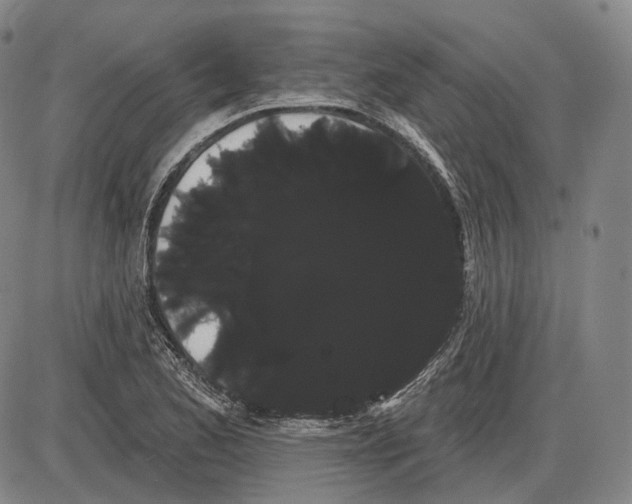 X0000085041173200704021246