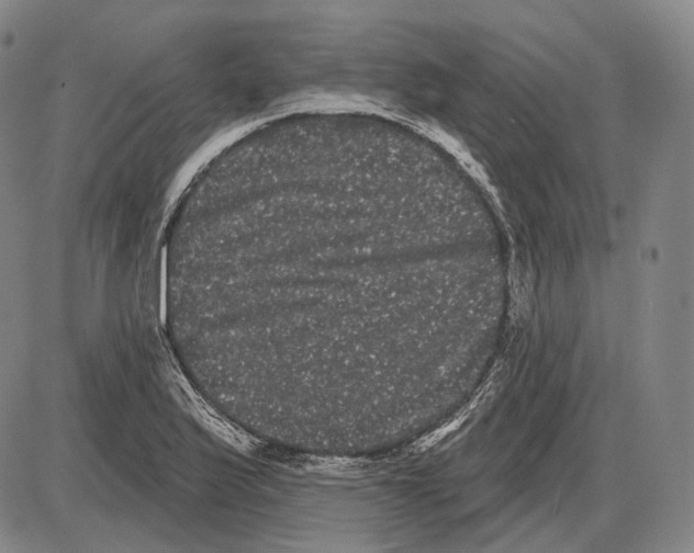 X0000085041175200704021246