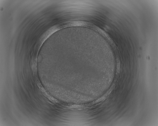 X0000085041178200704021246