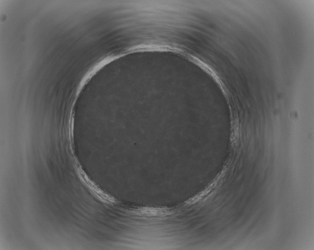 X0000085041179200704021246