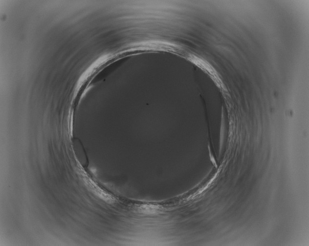 X0000085041180200704021246