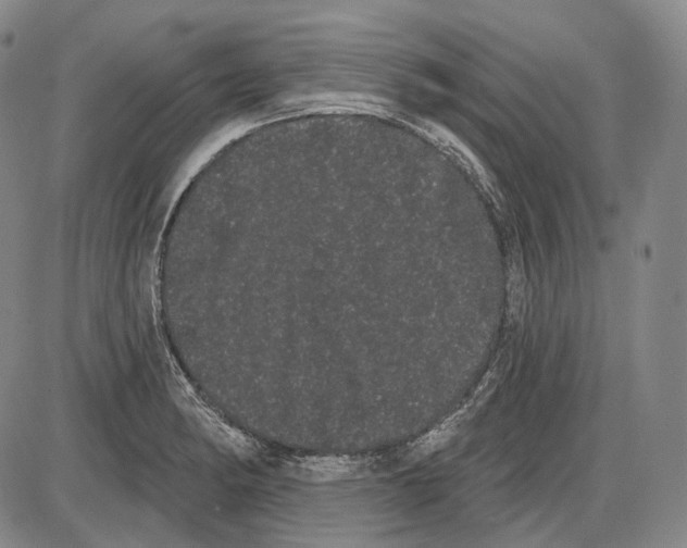 X0000085041182200704021246