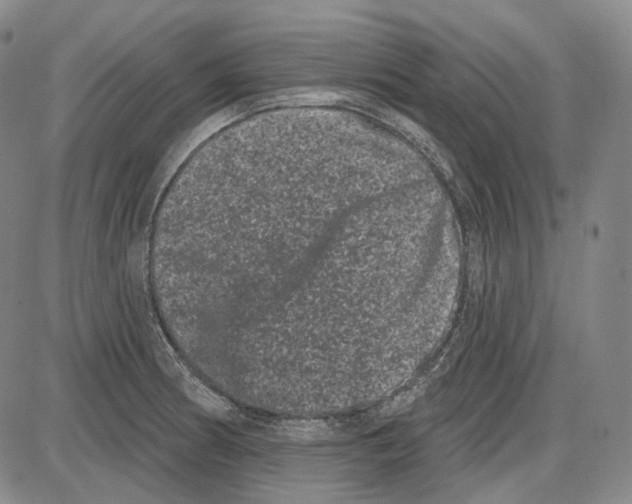 X0000085041186200704021246