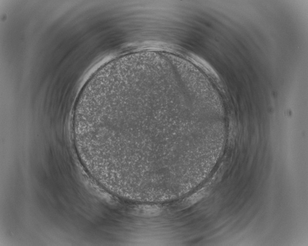 X0000085041190200704021246