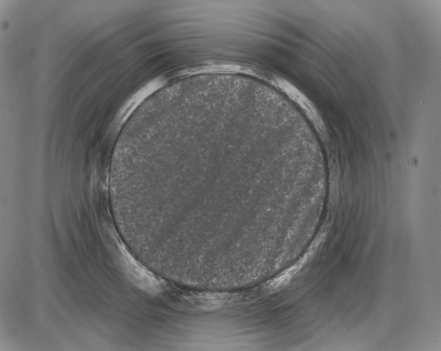 X0000085041193200704021246