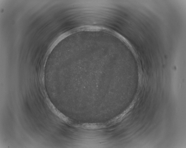 X0000085041194200704021246
