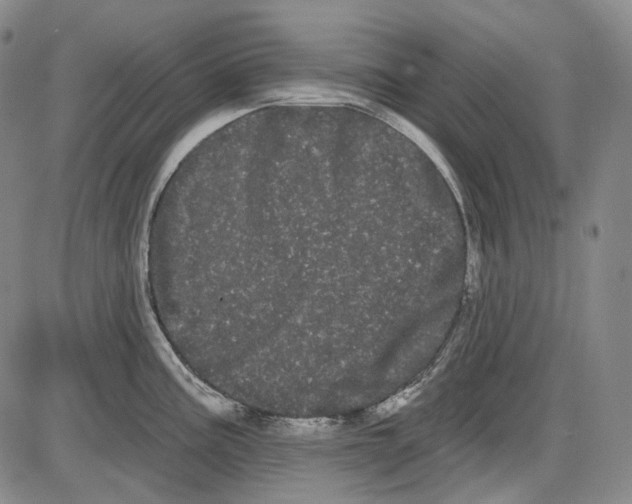 X0000085041195200704021246
