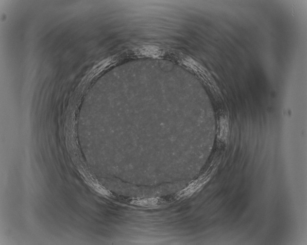 X0000085041201200704021245