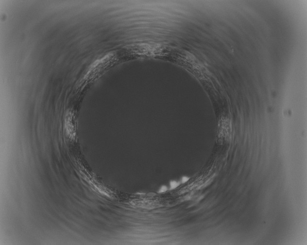 X0000085041202200704021245