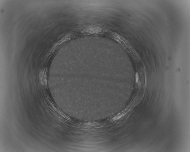 X0000085041203200704021245