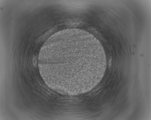 X0000085041204200704021245