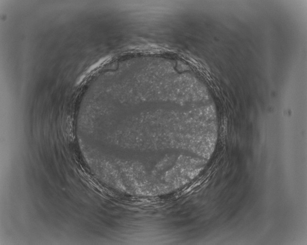 X0000085041205200704021245