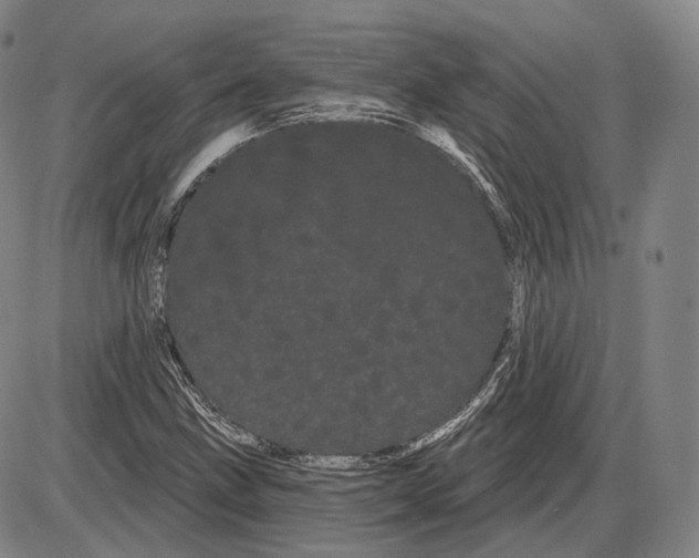 X0000085041211200704021245