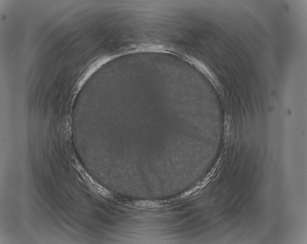 X0000085041212200704021245