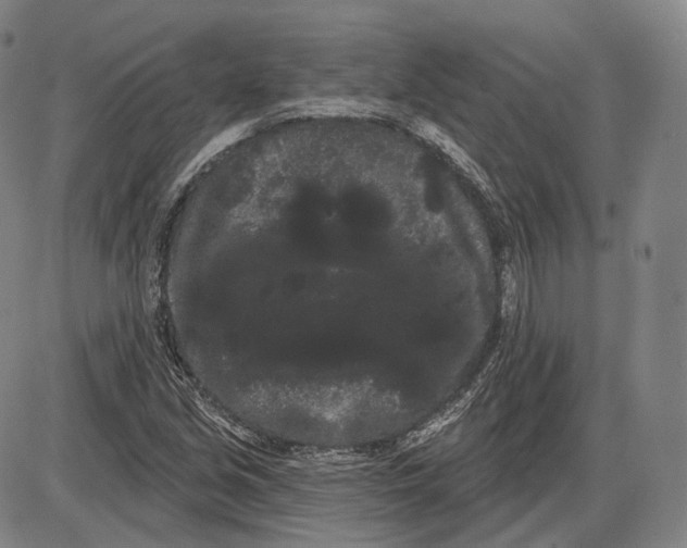X0000085041213200704021245