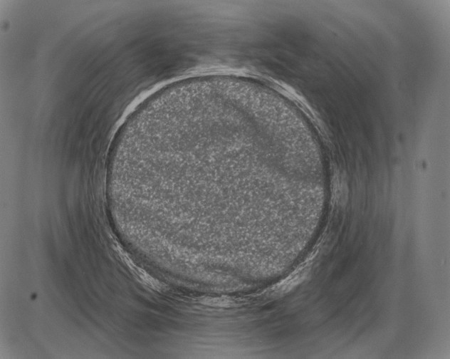 X0000085041220200704021245