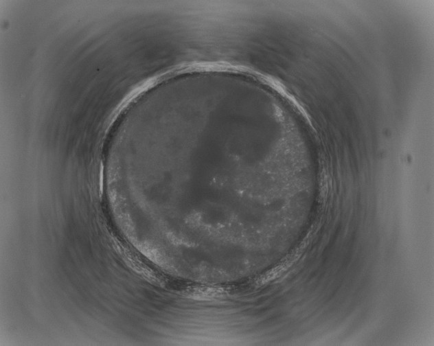 X0000085041221200704021245