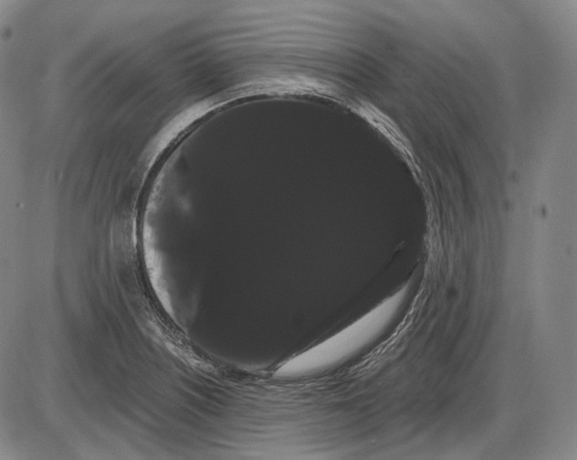 X0000085041226200704021245