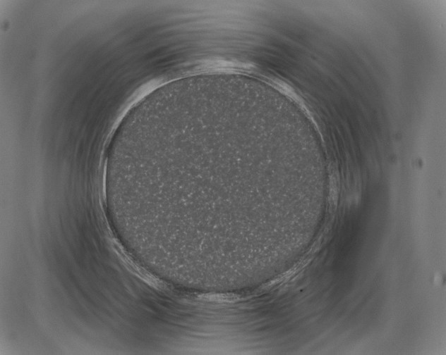 X0000085041227200704021245