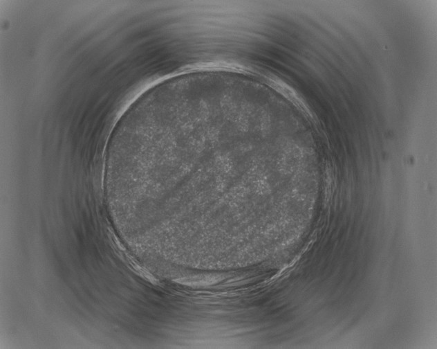 X0000085041228200704021245