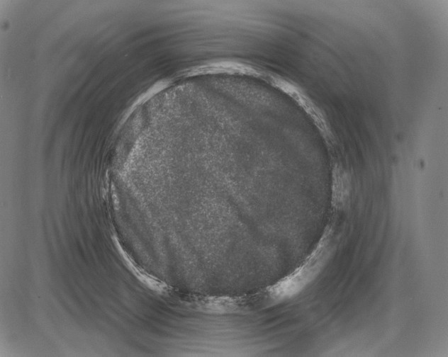 X0000085041233200704021245