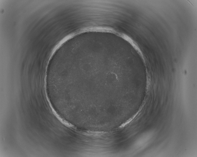 X0000085041237200704021245