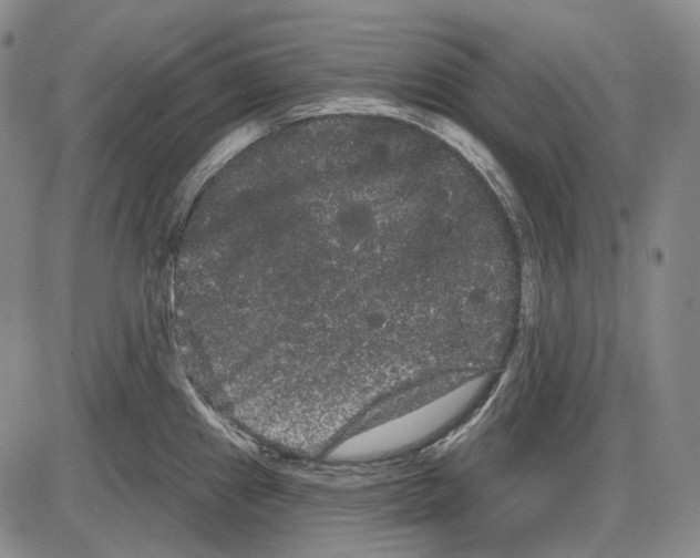 X0000085041241200704021245