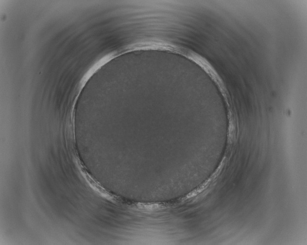X0000085041242200704021245