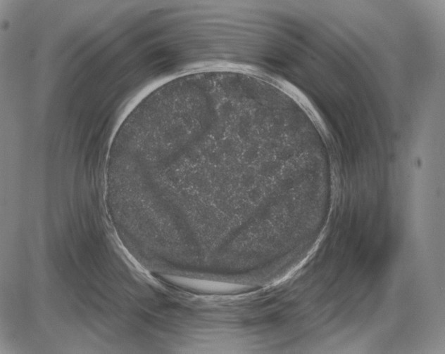 X0000085041244200704021245