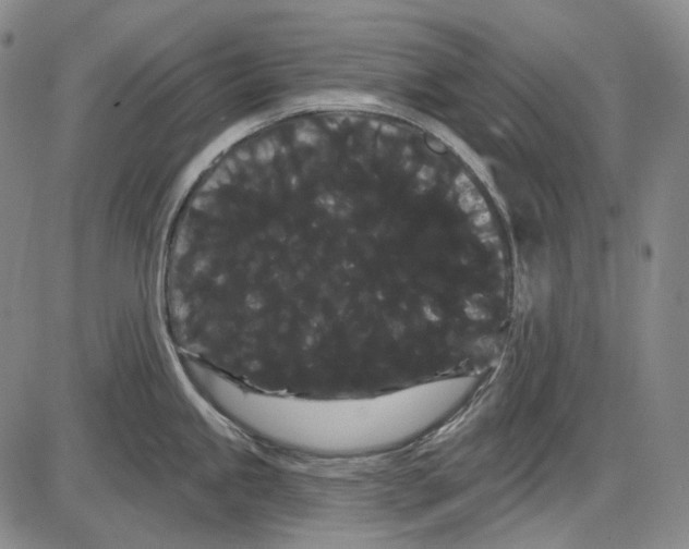 X0000085041245200704021245