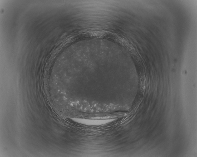 X0000085041249200704021245