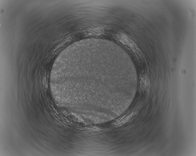 X0000085041250200704021245
