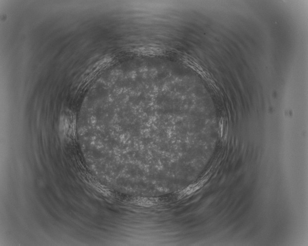 X0000085041251200704021245